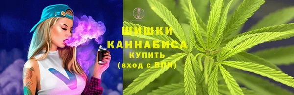 ГАЛЛЮЦИНОГЕННЫЕ ГРИБЫ Волосово