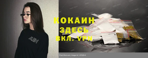 ГАЛЛЮЦИНОГЕННЫЕ ГРИБЫ Волосово
