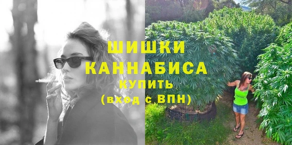 ГАЛЛЮЦИНОГЕННЫЕ ГРИБЫ Волосово