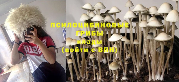 молекула духа Володарск