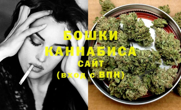 молекула духа Володарск