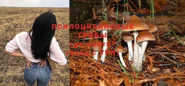 молекула духа Володарск